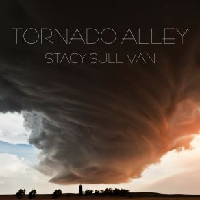 Download track Stormy Weather Troy FanninSteve Orlikoff