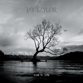 Download track Broken Wings Taylor Jay