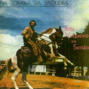 Download track Ano Novo Josa Vaqueiro Do Sertão