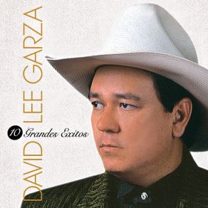 Download track Tus Ojos David Lee Garza