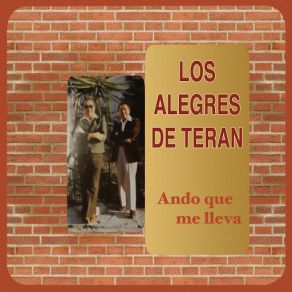 Download track Mi Triste Situación Los Alegres De Teran