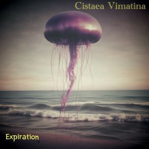 Download track Flight Of Wishes Cistaea Vimatina