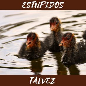 Download track Talvez ESTUPIDOS