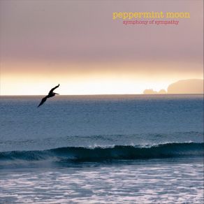 Download track Parallel Play Peppermint Moon