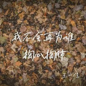 Download track 我不会再为谁掏心掏肺 (Remix版) 王一佳DJ德朋