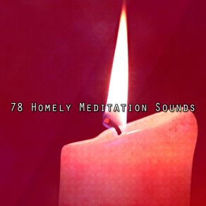 Download track Mystical World Of Thought Asian Zen Spa Music Meditation