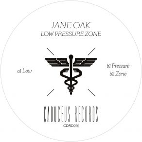 Download track Low (Original Mix) Jane Oak