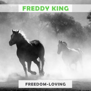 Download track You Know That You Love Me (But You Never Tell Me So) Freddie King