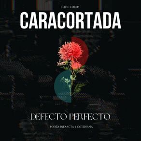 Download track DEFECTO PERFECTO Caracortada