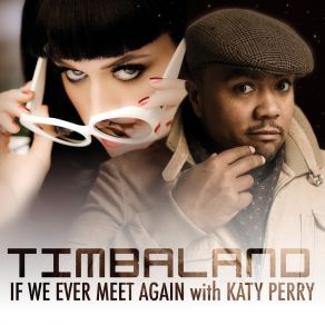 Download track If We Ever Meet Again (Digital Dog Radio Remix)  Timbaland, Katy Perry