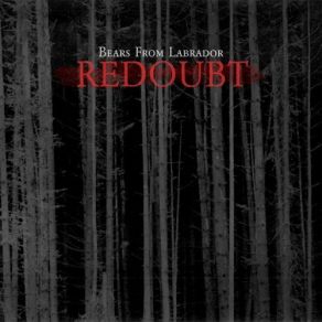 Download track Requiem For Jean Baudrillard Bears From Labrador