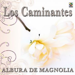 Download track Vana Locura Los Caminantes