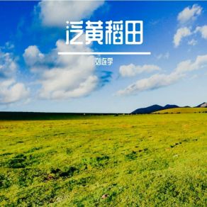 Download track 泛黄稻田 刘连宇