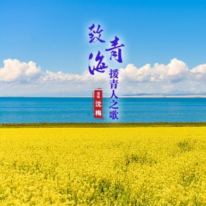 Download track 致青海·援青人之歌 沈梅