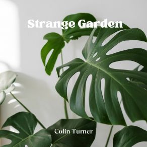 Download track Ignorantly Colin Turner