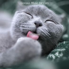 Download track Number One (Music) Glorious Music For CatsThe Music