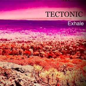 Download track ETERNITY Tectonic