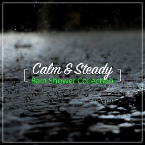 Download track Rain Sound: Gentle Rain Sounds Of Nature White Noise For Mindfulness Meditation