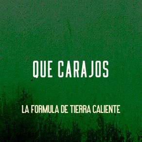 Download track Por Qué No Estás Aquí La Formula De Tierra Caliente