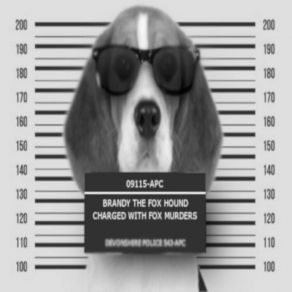 Download track Dog On Magnetic Myths