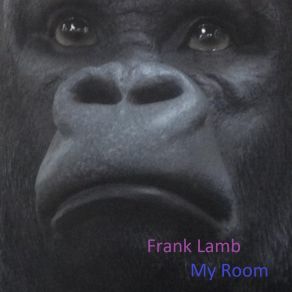 Download track Like A Plane Frank Lamb