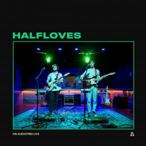 Download track Something That's Got You Down (Audiotree Live Version) Halfloves