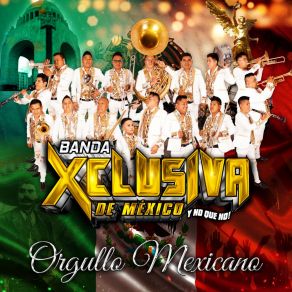 Download track Zopilote Mojado Banda La Xclusiva De México