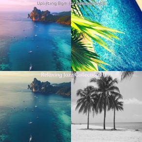 Download track Exquisite Backdrops For Summer Holidays Relaxing Jazz Collections