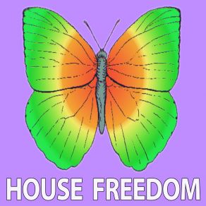 Download track Fire (Rousing House Remix) Bunny House