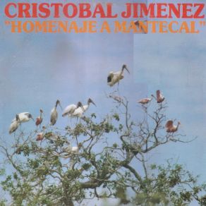 Download track Hermelinda Jimenez CRISTOBAL JIMENEZ