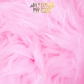 Download track Mein Munchen Jared Capasso