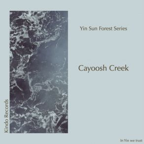 Download track Cayoosh Creek (Clear Version) Yin Sun