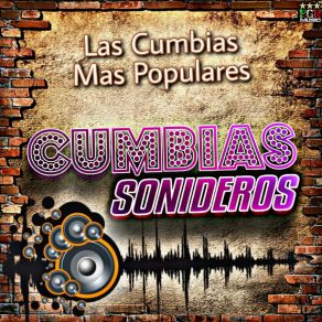 Download track Cumbia De Los Patos Cumbias Sonideras