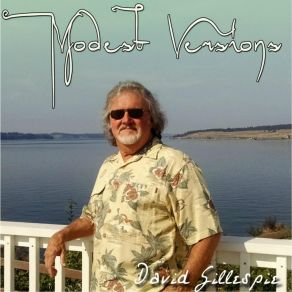 Download track Have You Seen The Rain David Gillespie