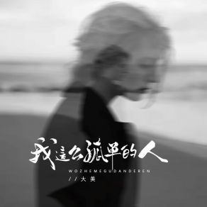 Download track 我这么孤单的人 大美