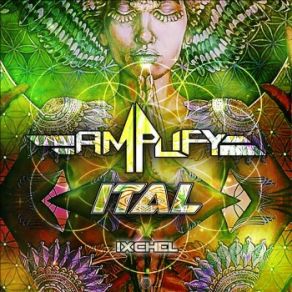 Download track Ixchel Ital, MX, Amplify, Amplify (MX)