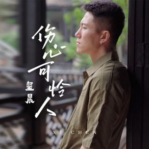 Download track 伤心可怜人 (Dj九零版) Chen Xi九零