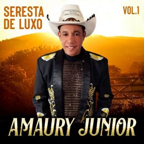 Download track Perdi A Esperança Amaury Junior