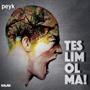 Download track Bu Ben Peyk