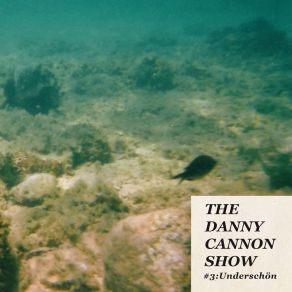 Download track Down In The Hollow The Danny Cannon Show