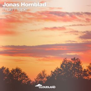 Download track True Hope (Radio Edit) Jonas Hornblad