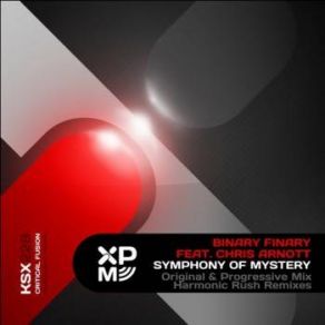 Download track Symphony Of Mystery (Harmonic Rush Dub Mix) Binary Finary, Chris Arnott