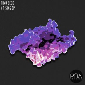 Download track Rising Timo Beck