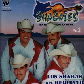 Download track Pedazos De Mi Shacales De Sonora