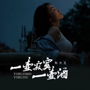 Download track 一壶寂寞一壶酒 彤大王