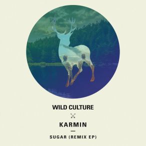 Download track Brave (Heart Mix) Wild CultureRiley Pearce