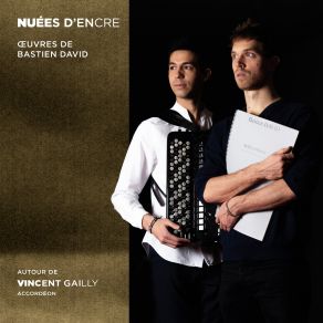 Download track Nuées D'encre Vincent Gailly