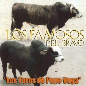 Download track Pepe Vega Los Famosos Del Bravo