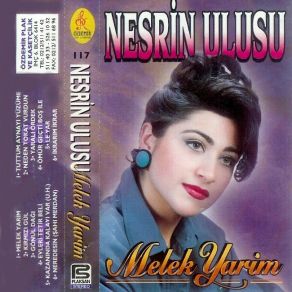 Download track Nerdesin Sahi Merdan Nesrin Ulusu