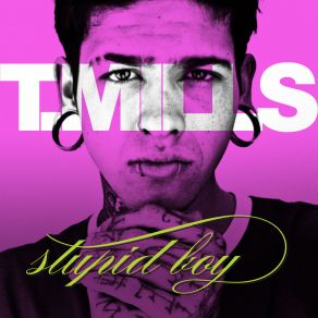 Download track Stupid Boy T. Mills